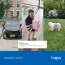 Image carousel