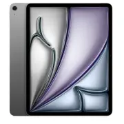 Tablette tactile APPLE MH5N4TY/A