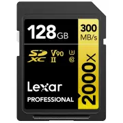 Carte mémoire LEXAR 1120033