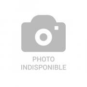 Robinet FRANKE 031731