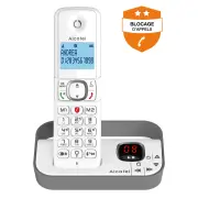 Téléphone sans fil ALCATEL F860VOICEGREY