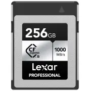 Carte mémoire LEXAR 1120043