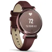 Montre connectée GARMIN Lily 2 Classic Dark Bronze 010-02839-03