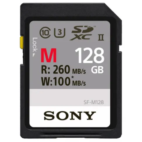 Carte secure digital SONY SFG 1 M - 1