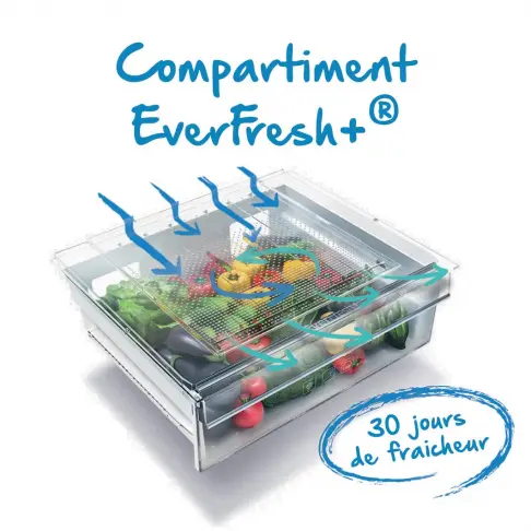 Réfrigérateur combiné inversé BEKO BRCNE50140ZXBN - 4