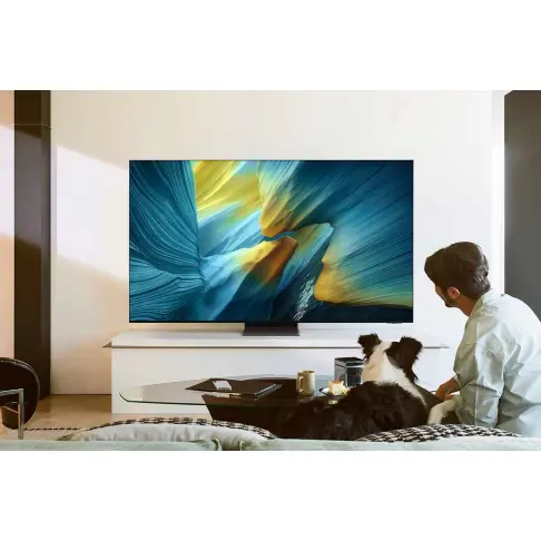 Tv oled 55'' SAMSUNG TQ55S95F - 9