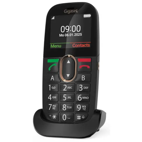 Téléphone mobile GIGASET GL695 - 1