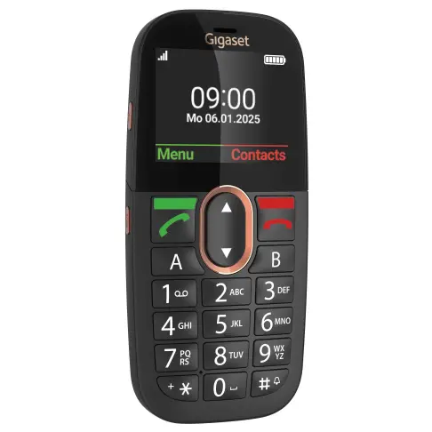 Téléphone mobile GIGASET GL695 - 2