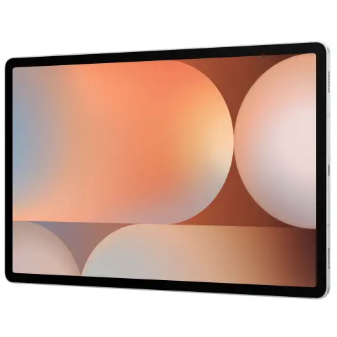Samsung Galaxy Tab S10+ Argent 256 Go - SM-X820NZSREUB - 2