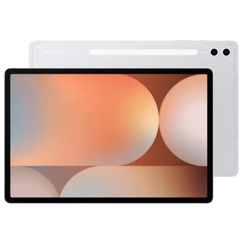 Samsung Galaxy Tab S10+ Argent 256 Go - SM-X820NZSREUB - 1