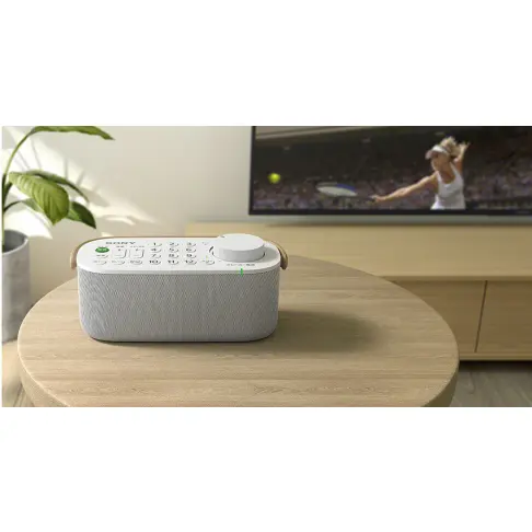 Enceinte tv SONY SRS-LSR200 - 4