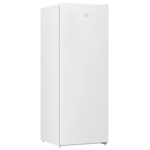 Congélateur armoire BEKO RFSE 200 T 30 WN - 1