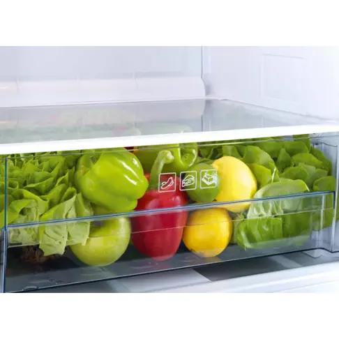 Réfrigérateur table top BEKO TSE 1403 FN - 5