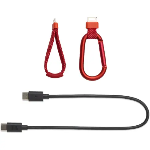 Enceinte nomade JBL FLIP7ROUGE - 10