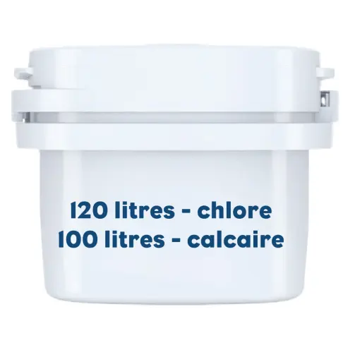 Cartouche filtrante LITTLE BALANCE 8589 - 2