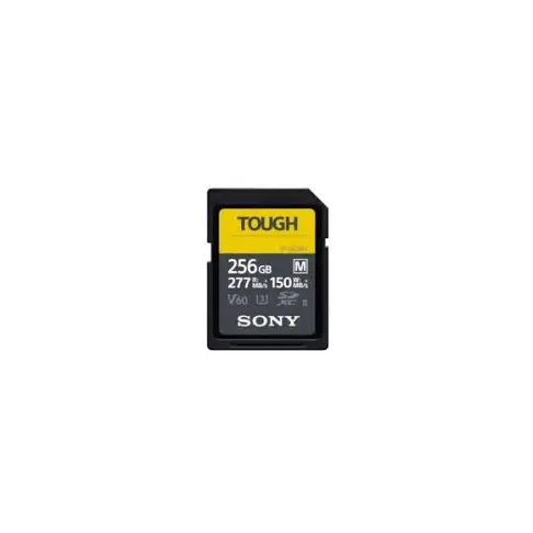 Carte secure digital SONY SFM 256 T SYM - 1