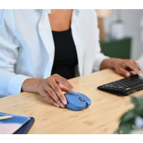 Souris TRUST 25041 - 5