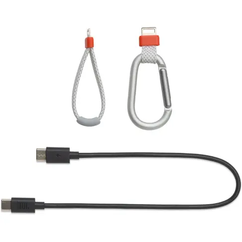 Enceinte nomade JBL FLIP7BLANC - 10