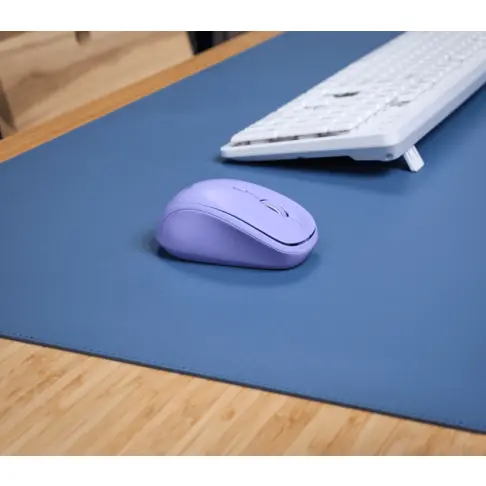 Souris TRUST 25583 - 7