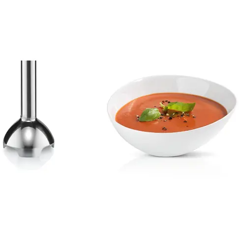 Mixeur plongeant BOSCH MSM26500 - 8