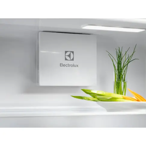 Réfrigérateur intégré 1 porte ELECTROLUX EFD6DE18S1 - 3