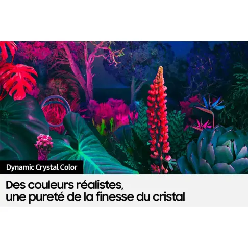 Télé led 55 pouces SAMSUNG UE55BU8005 - 4