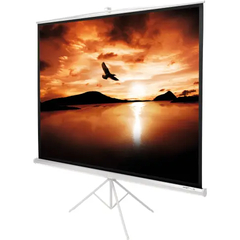 Ecran de vidéoprojection  INSTRI170B - 1