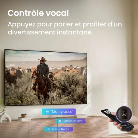 Télé led 43'' HISENSE 43A6S - 11