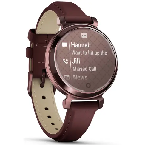 Montre connectée GARMIN Lily 2 Classic Dark Bronze 010-02839-03 - 4
