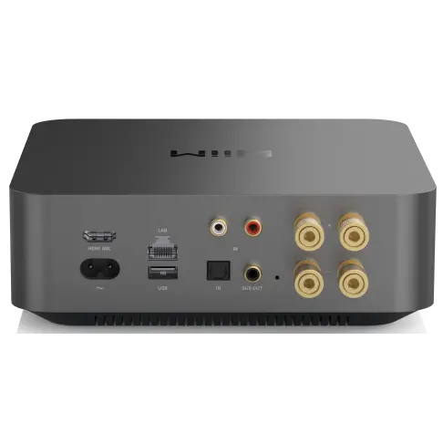 Amplificateur WIIM WIIAMPPROSG - 4