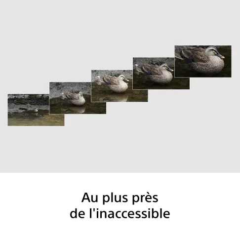 Optique fixe pour appareil photo reflex numérique SONY SEL 100400 - 8