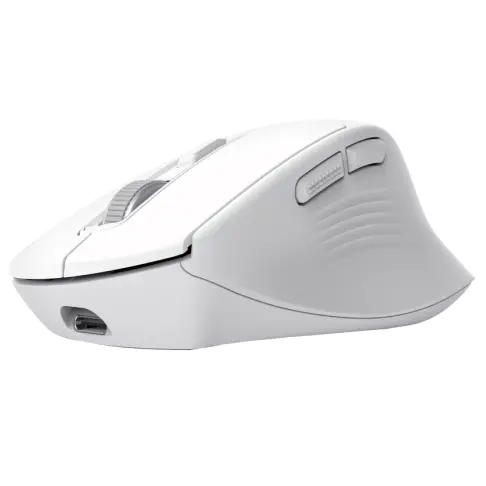 Souris TRUST 26022 - 2