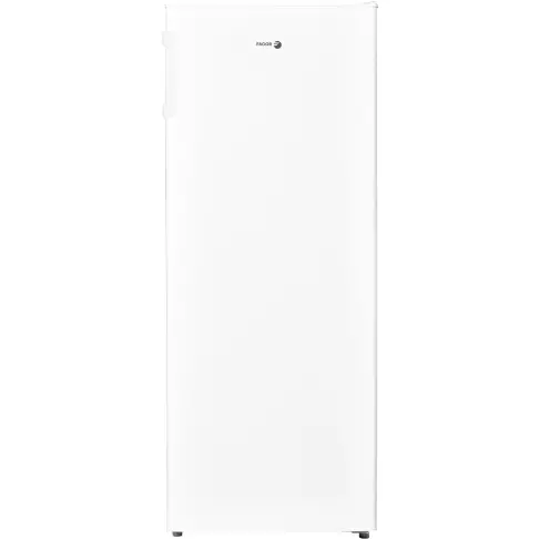 Réfrigérateur 1 porte FAGOR FUPP220RSDB - 1