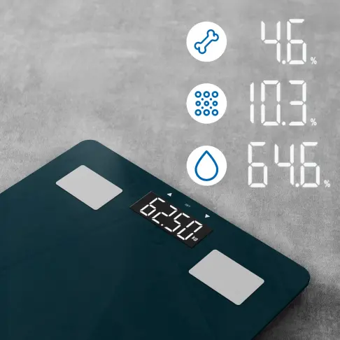 Pèse-personne électronique ROWENTA BR2600V0 - 2