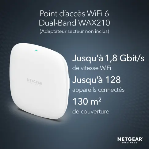 Wifi NETGEAR WAX210-100EUS - 2