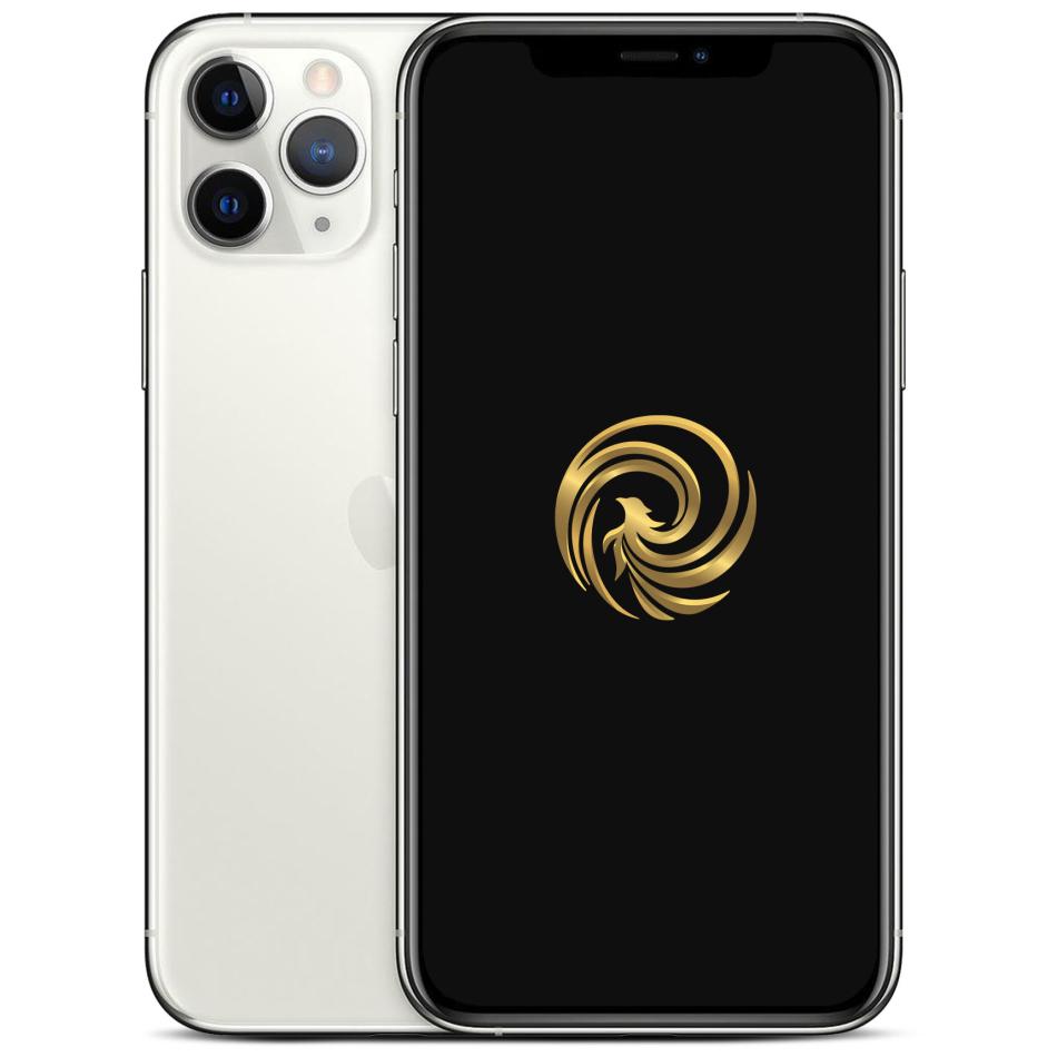 REBORN IP11PRO64W - vue 1