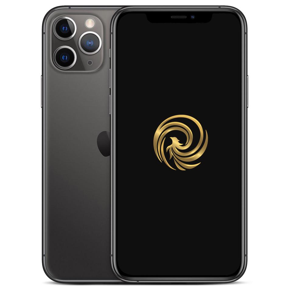 REBORN IP11PRO64GS - vue 1