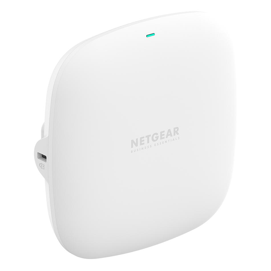 NETGEAR - WAX210-100EUS