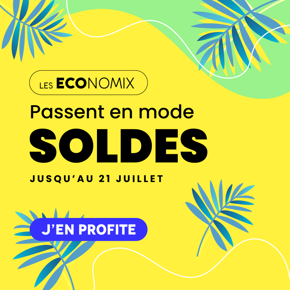 Les Economix Villatech